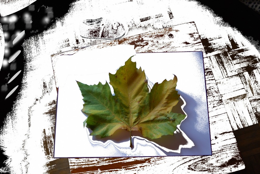 Feuille