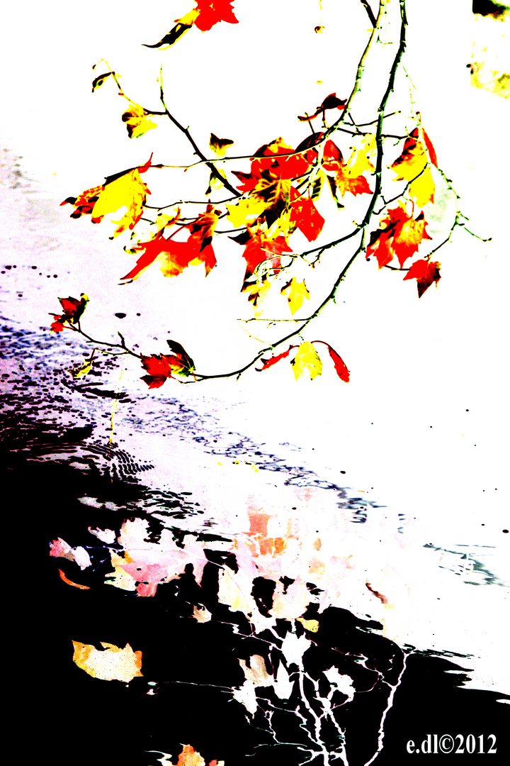 feuille en automne