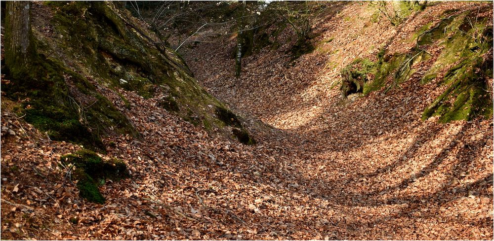 feuilles mortes