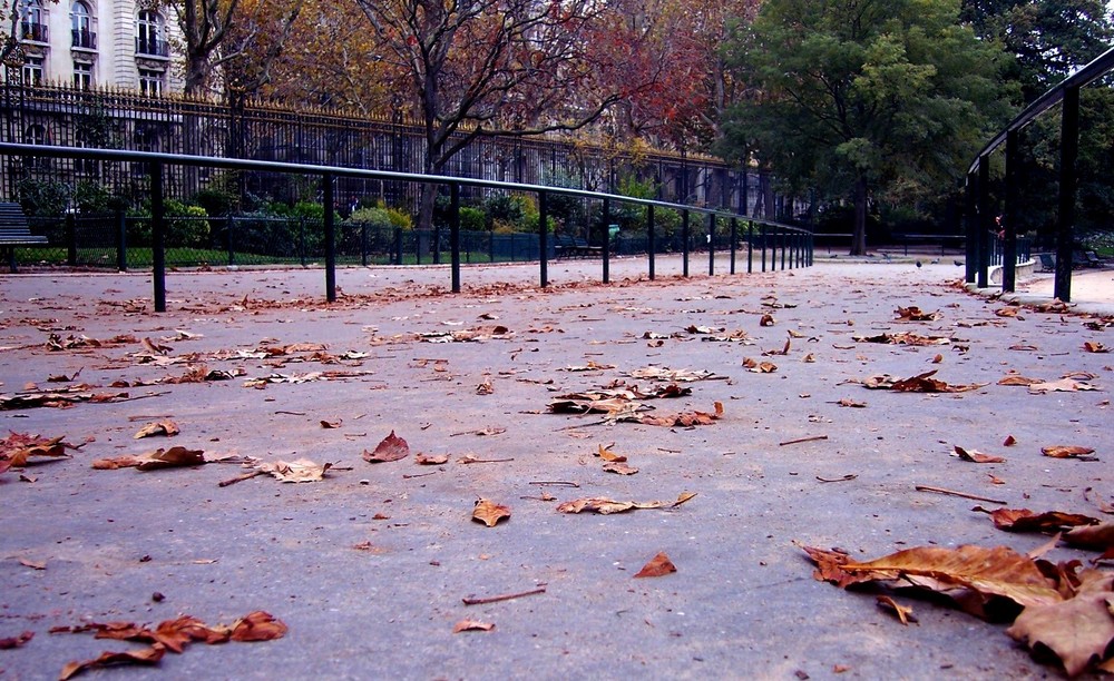 feuilles mortes