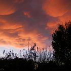 Feurige Wolken über unserem Garten