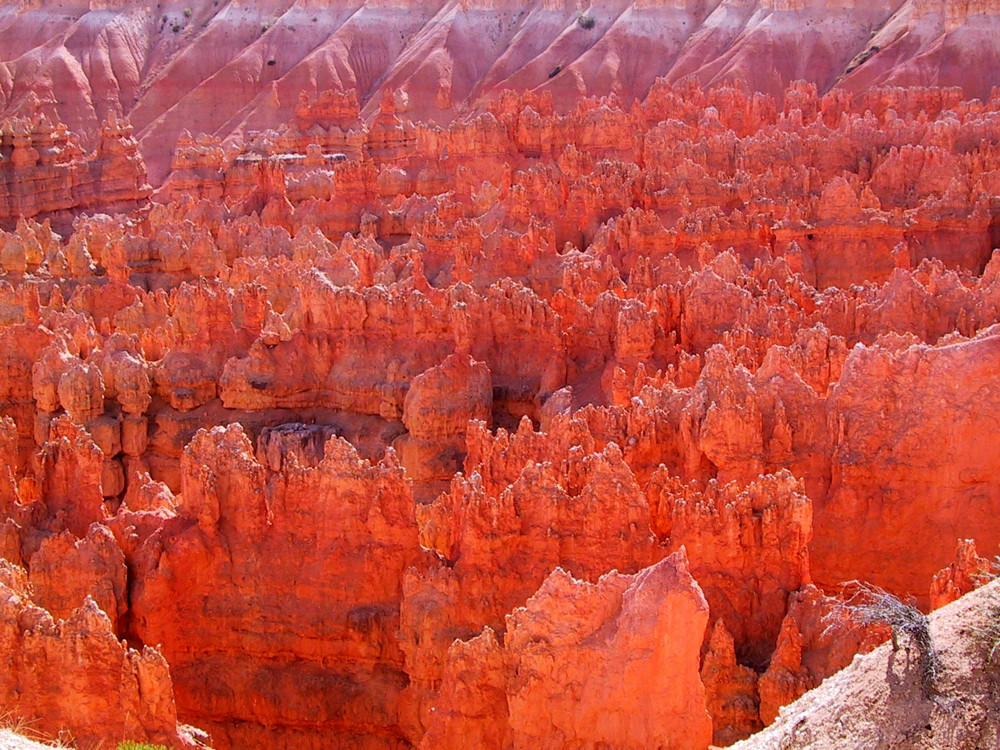 Feurige Zinnen, Bryce Canyon N.P.