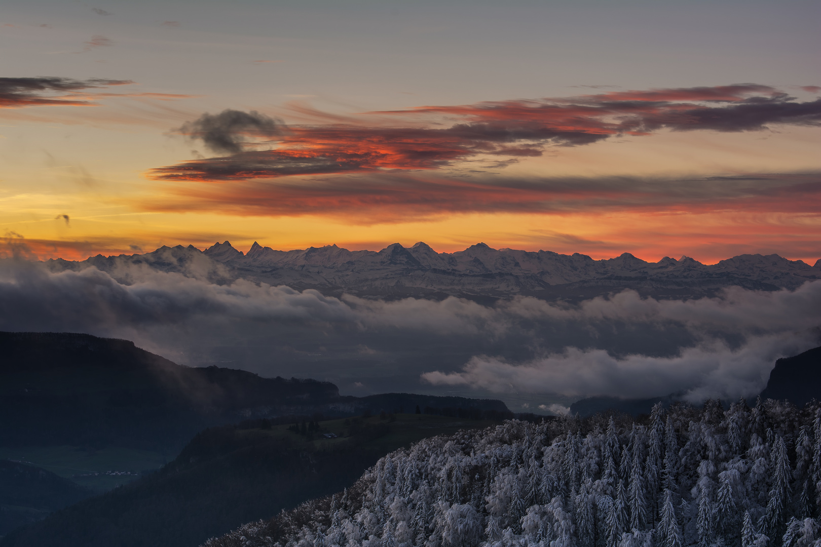 Feuriger Himmel über gefrorenen Tannen