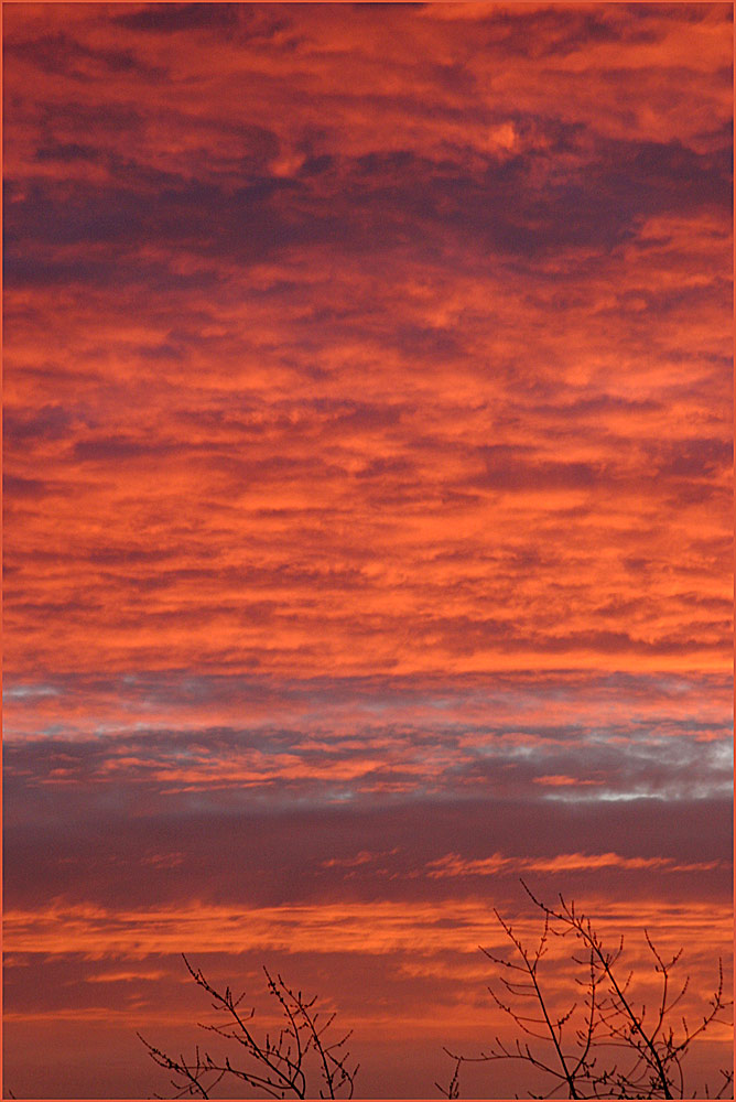 Feuriger Himmel ueber Hamburg