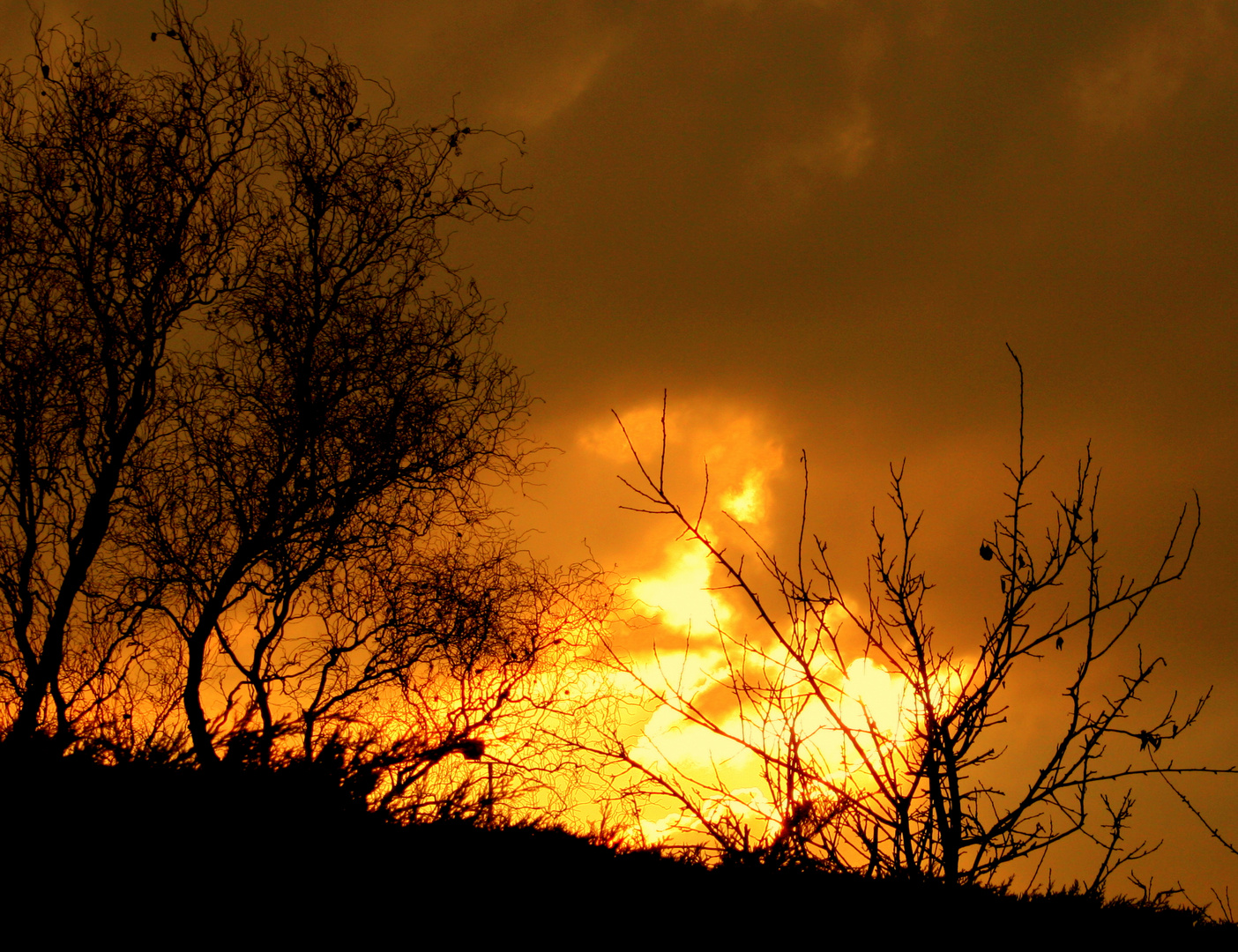 Feuriger Sonnenuntergang