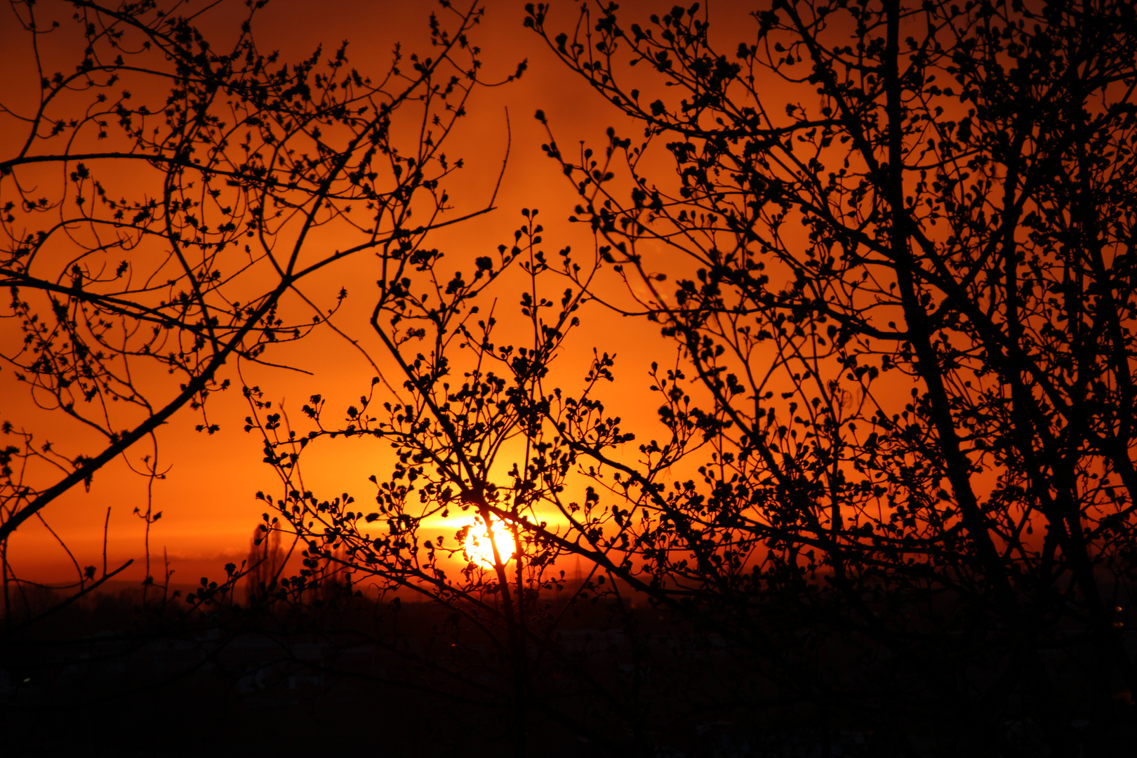 Feuriger Sonnenuntergang