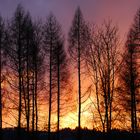 Feuriger Sonnenuntergang