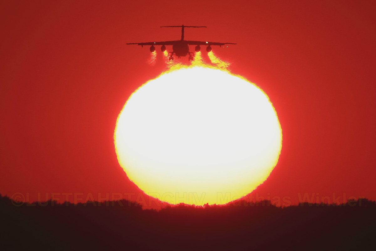 Feuriger Vierstrahler Im Sonnenuntergang