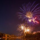 Feux lisle sur tarn 81 #1