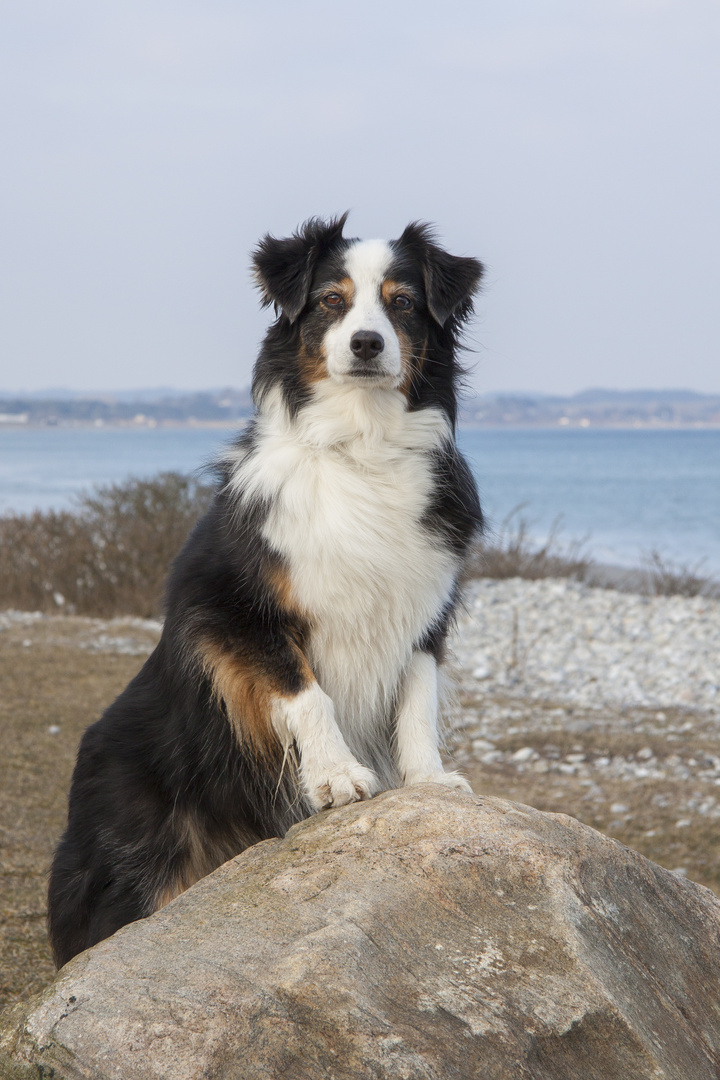 Fey am Strand