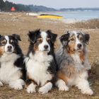 Fey, Muggy und Joyce am Strand