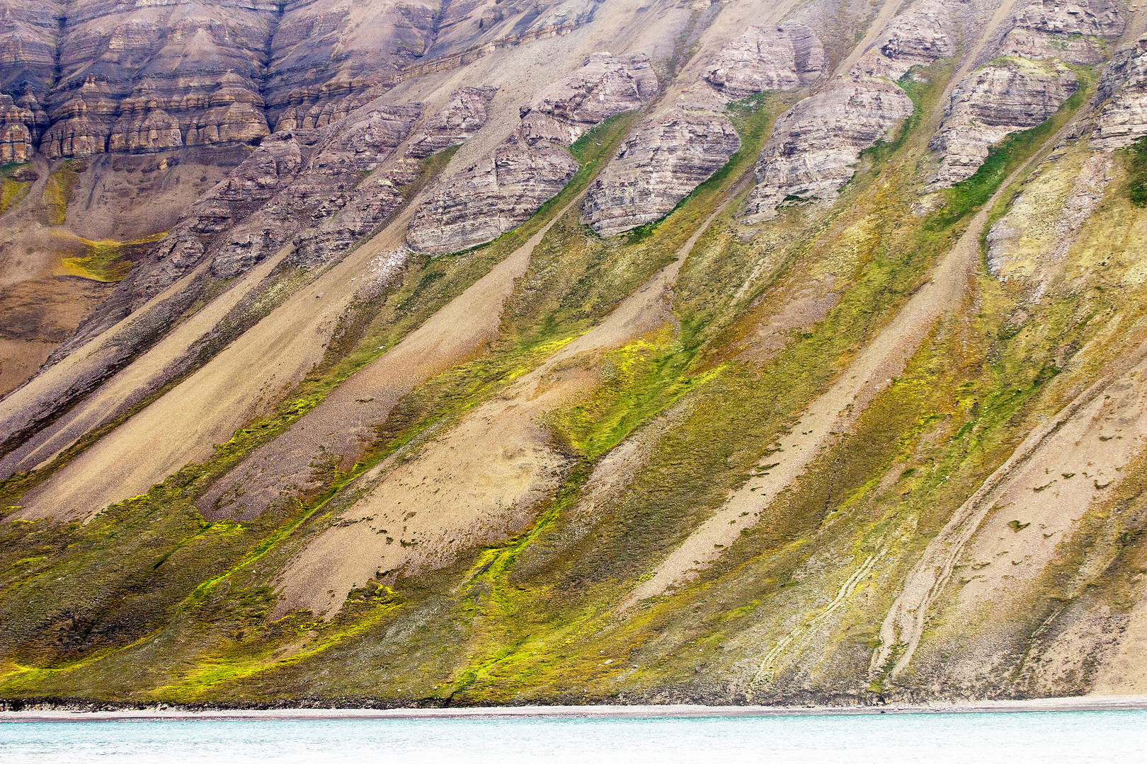 Feyling-Hanssenfjellet - geologische Formation auf Svalbard