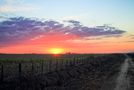 Atardecer argentino by Roberto Justo Robiolo