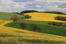 schwungvolle Landschaft von Wipsenwapps