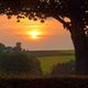 Sonnenuntergang ber einem Rapsfeld