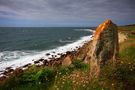 " La côte sauvage " de Jean COLLETTE