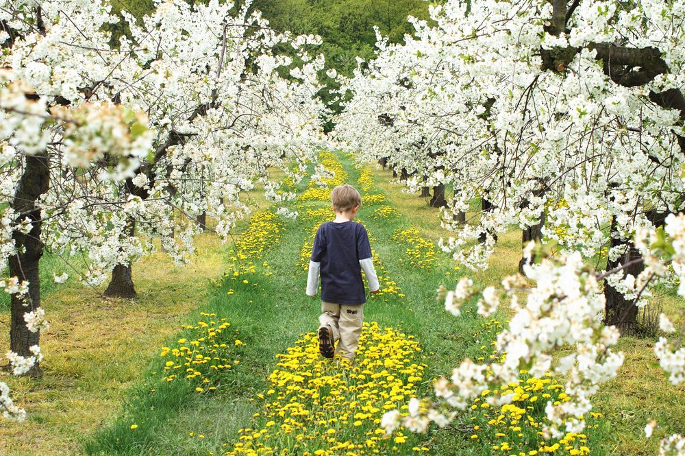 Frühling! von Dr.v.Bülow