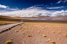 Lago Miscanti Chile Atacama von Flischi 