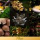 Pilze-Collage / Mushroom collage