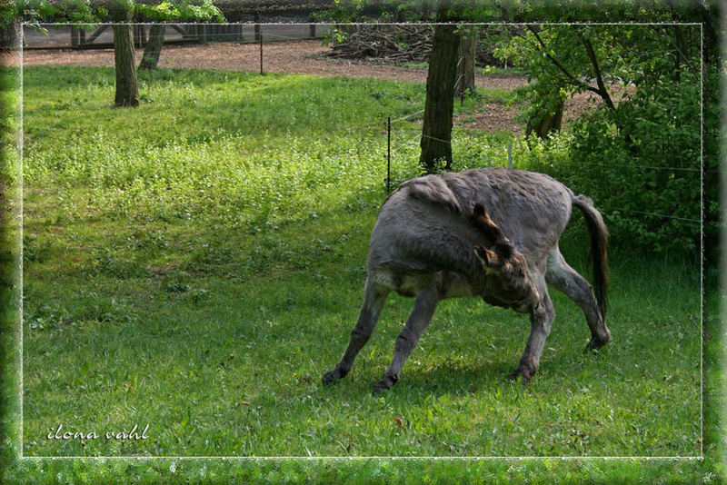 "Ffffff.....fffffff......hat mal jemand ein Pflaster?!!"