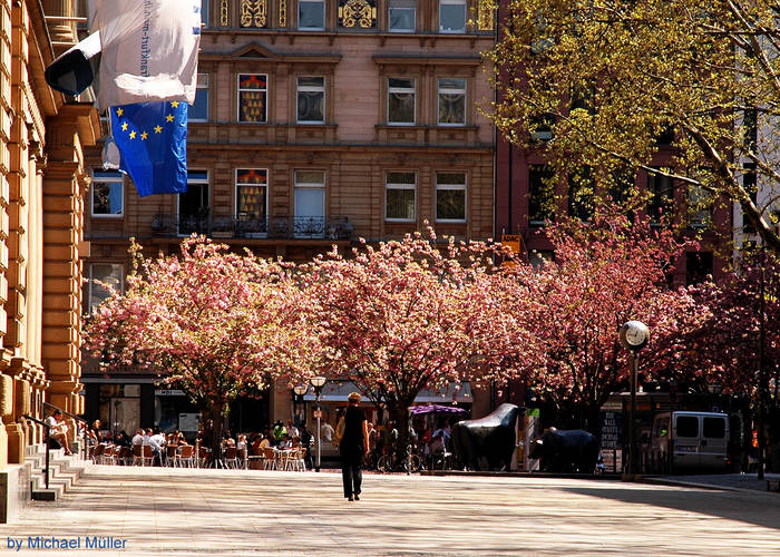 FFM-Börsenplatz im Frühling