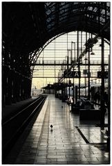 FFM HBF II