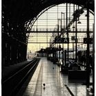 FFM HBF II