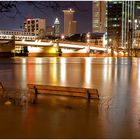 FFM - Hochwasser 2011