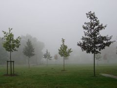 FH Magdeburg-Stendal im Nebel