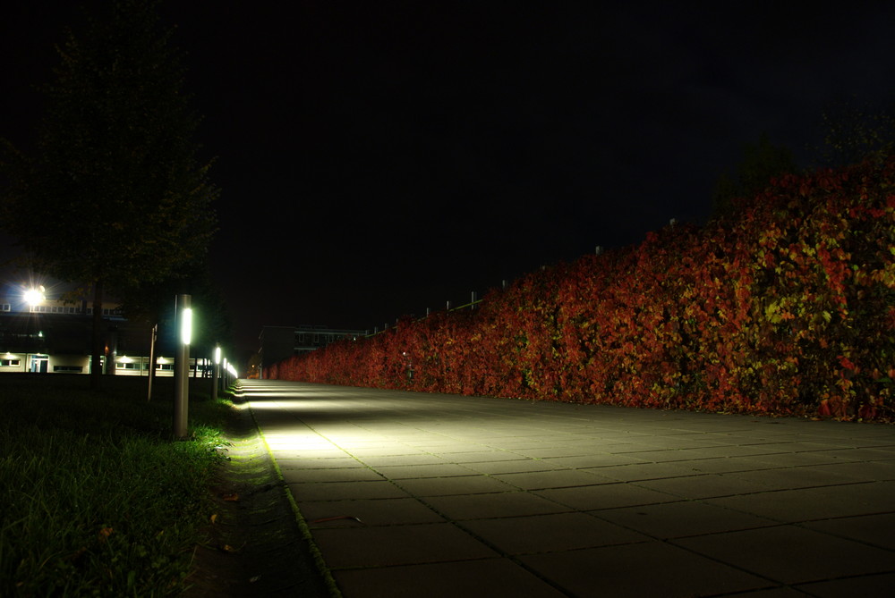 Fh Schmalkalden bei Nacht 3