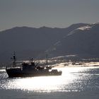 Fi9schereifahrzeug vor dem Einlaufen in von Tromsø