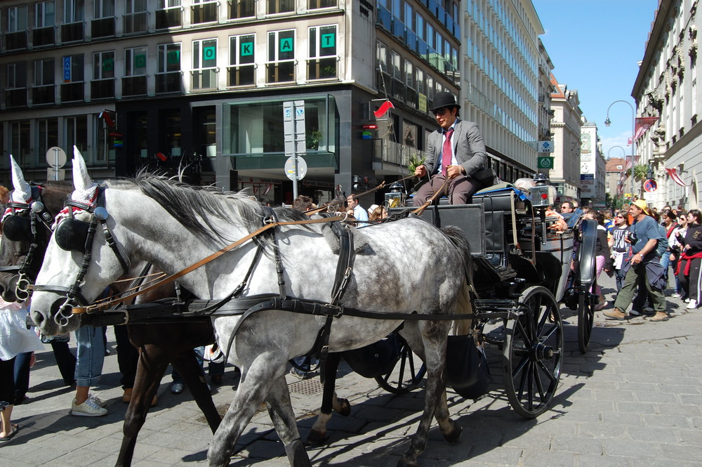 Fiaker am Graben