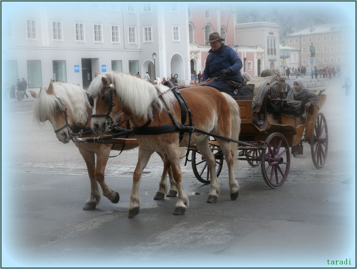 Fiaker am Mozartplatz