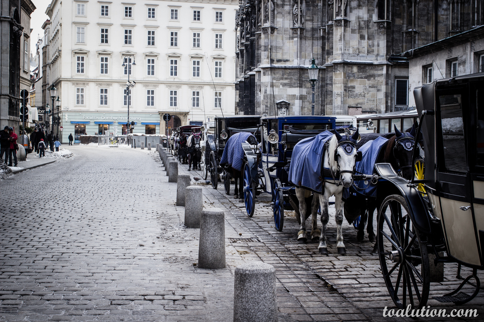 Fiaker am Stephansplatz 2