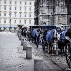 Fiaker am Stephansplatz 2