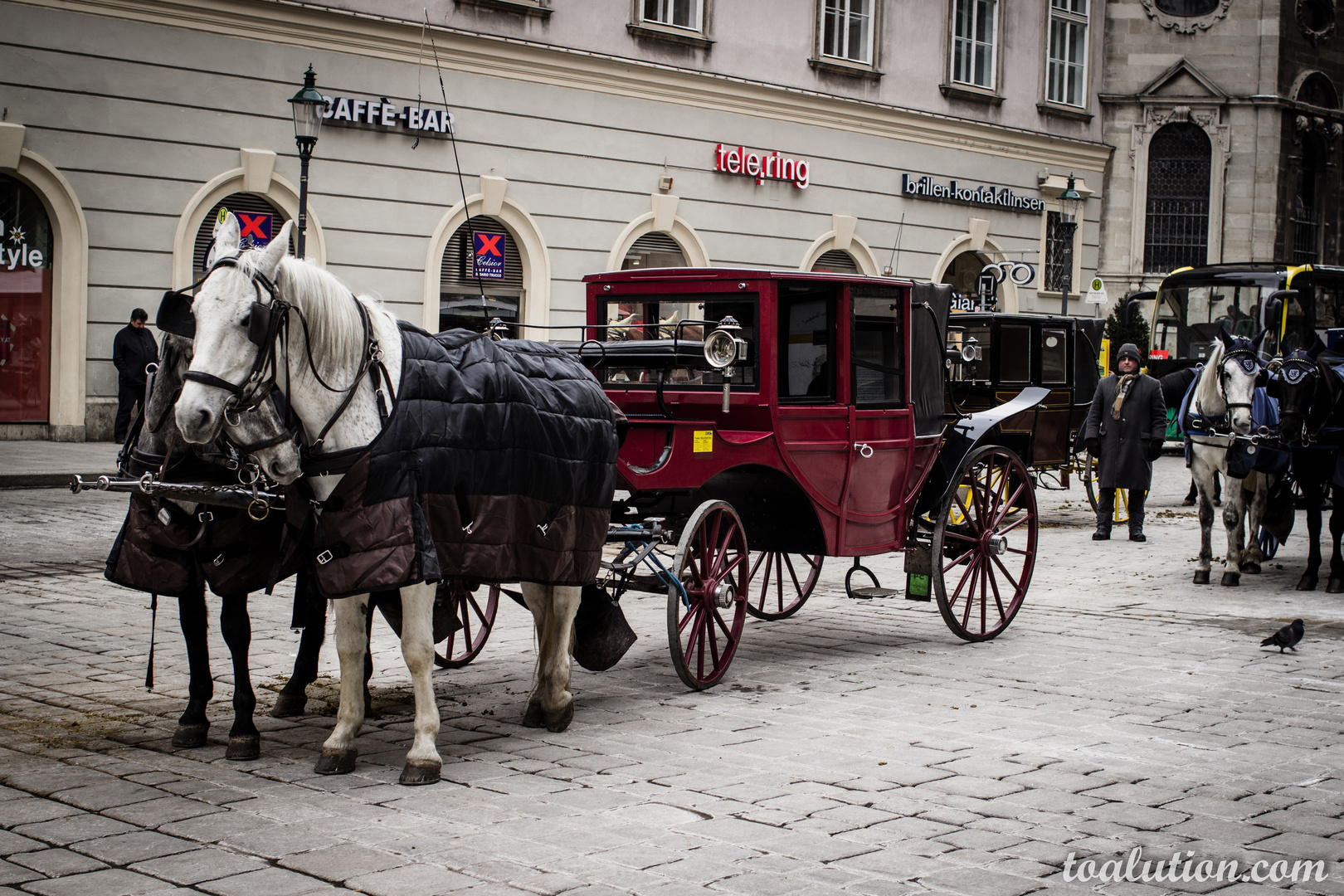 Fiaker am Stephansplatz