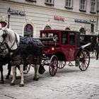 Fiaker am Stephansplatz