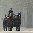 Fiaker am Weg zur Arbeit