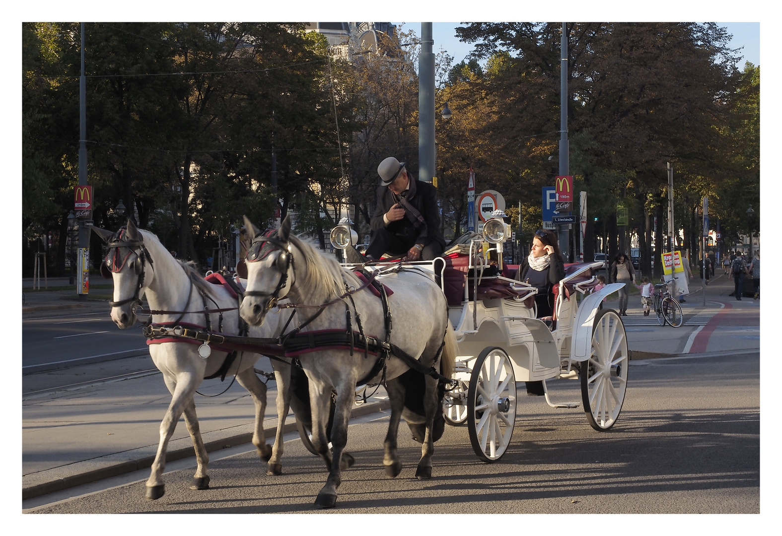 Fiaker beim Burgtheater