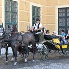 Fiaker im Schloss Schönbrunn