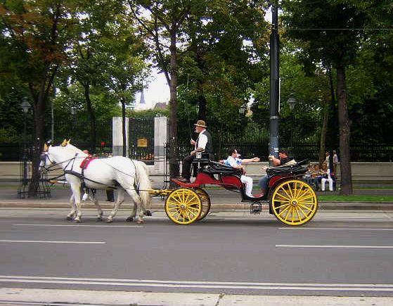 Fiaker im schönen Wien