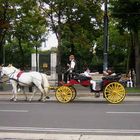 Fiaker im schönen Wien