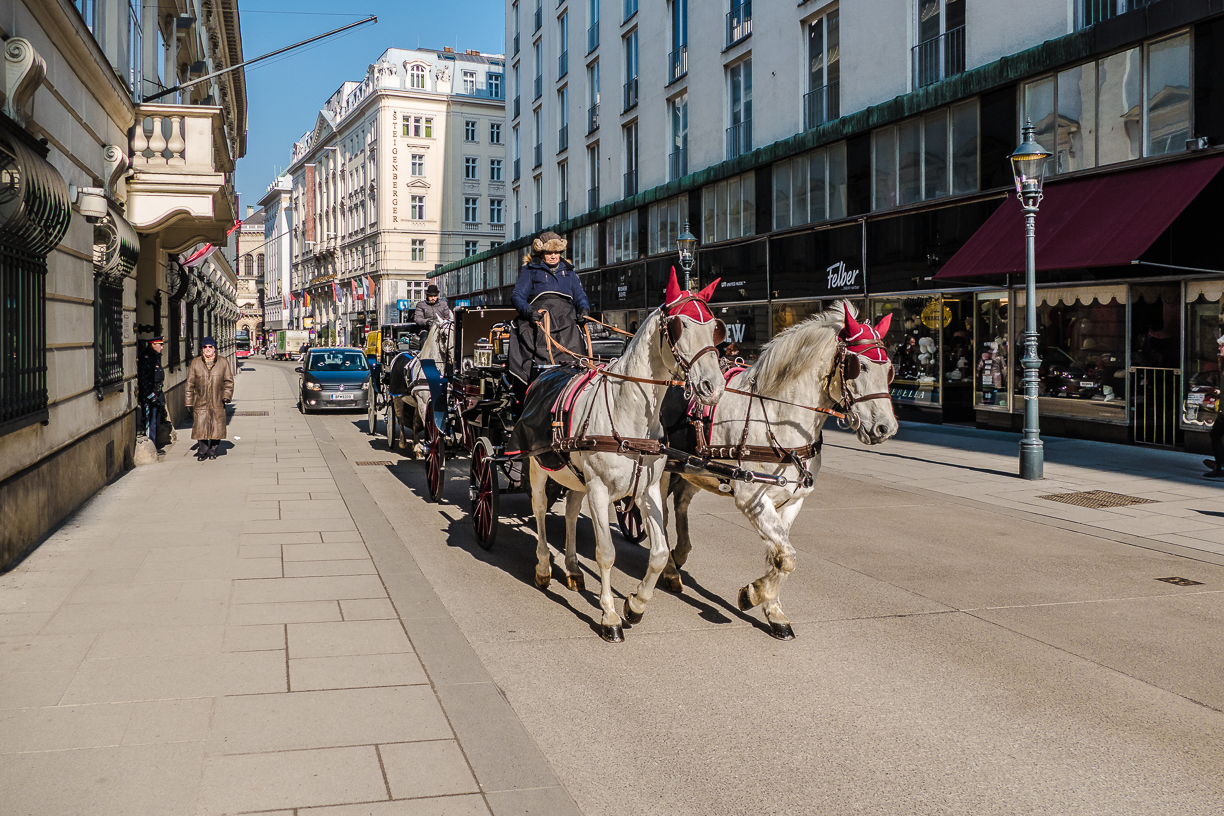 Fiaker in der Herrengasse - Wien City