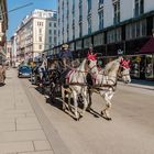 Fiaker in der Herrengasse - Wien City