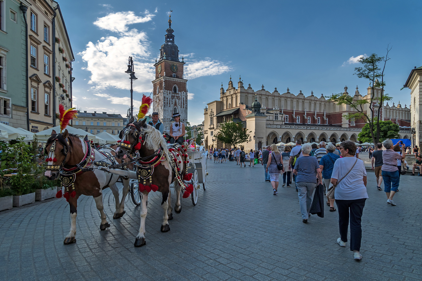 Fiaker in Krakau. Polen