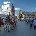 Fiaker in Krakau. Polen