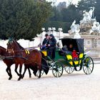 Fiaker in Schönbrunn