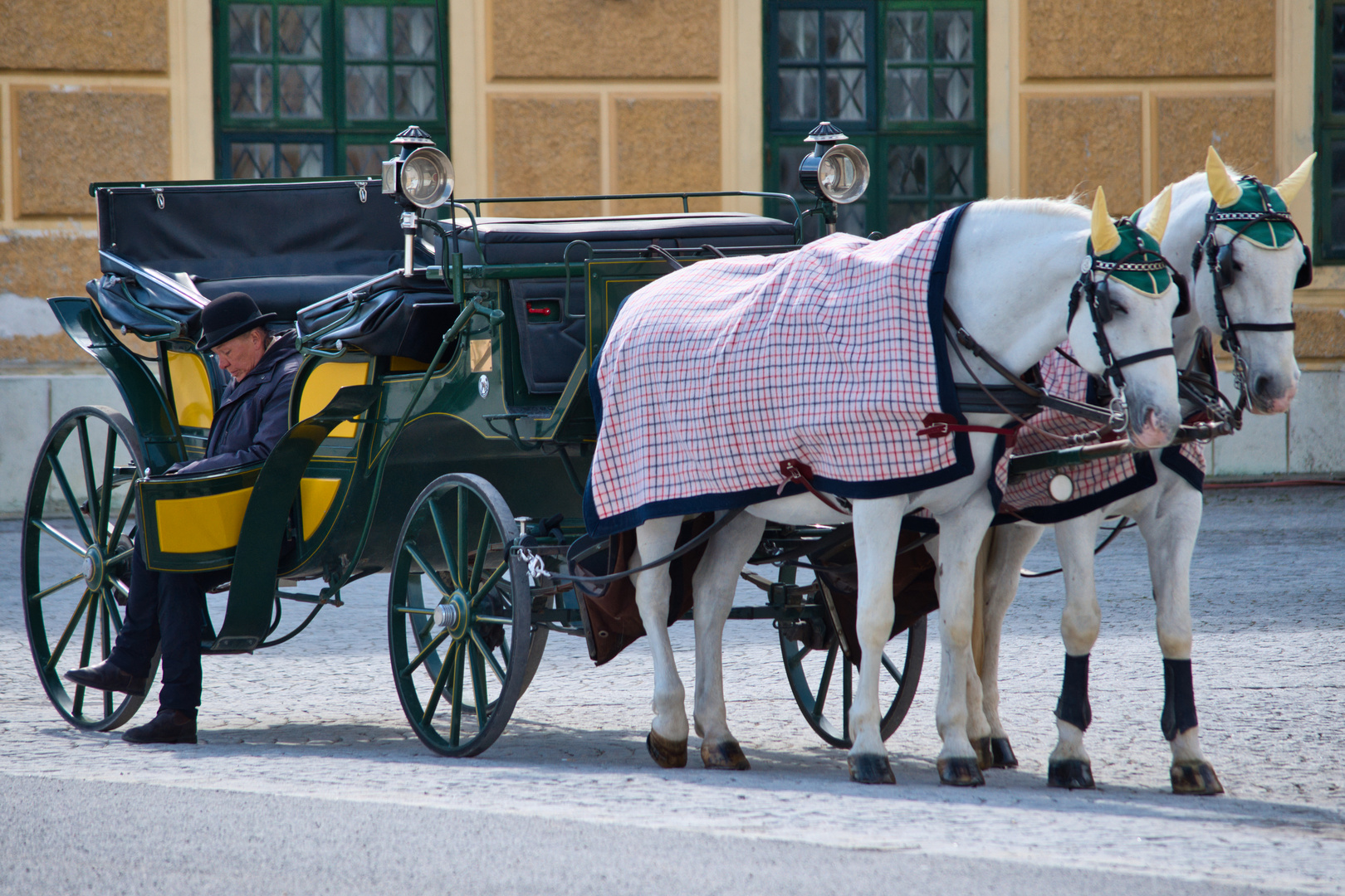 Fiaker in Schönbrunn