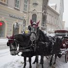 fiaker in wien am stephansplatz