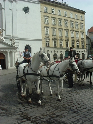 Fiaker vor dem Michaelertor